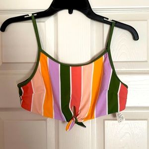 Hollister Swim Suit Top